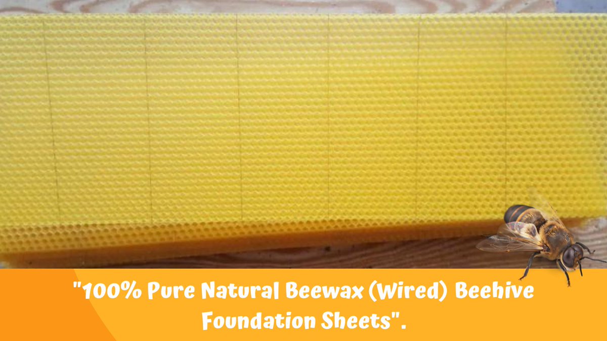 NaturalApiary's tweet photo. Beeswax foundations give your bees a head start building comb. Beewax foundation sheets are a great way to quickly and easily build up your bee colonies. 🐝💛🐝🧡🐝

Buy now 👉 https://t.co/iWpiYpXzbw

#naturalapiary #beekeeping #waxsheet #beewax https://t.co/qKe6PJkldR