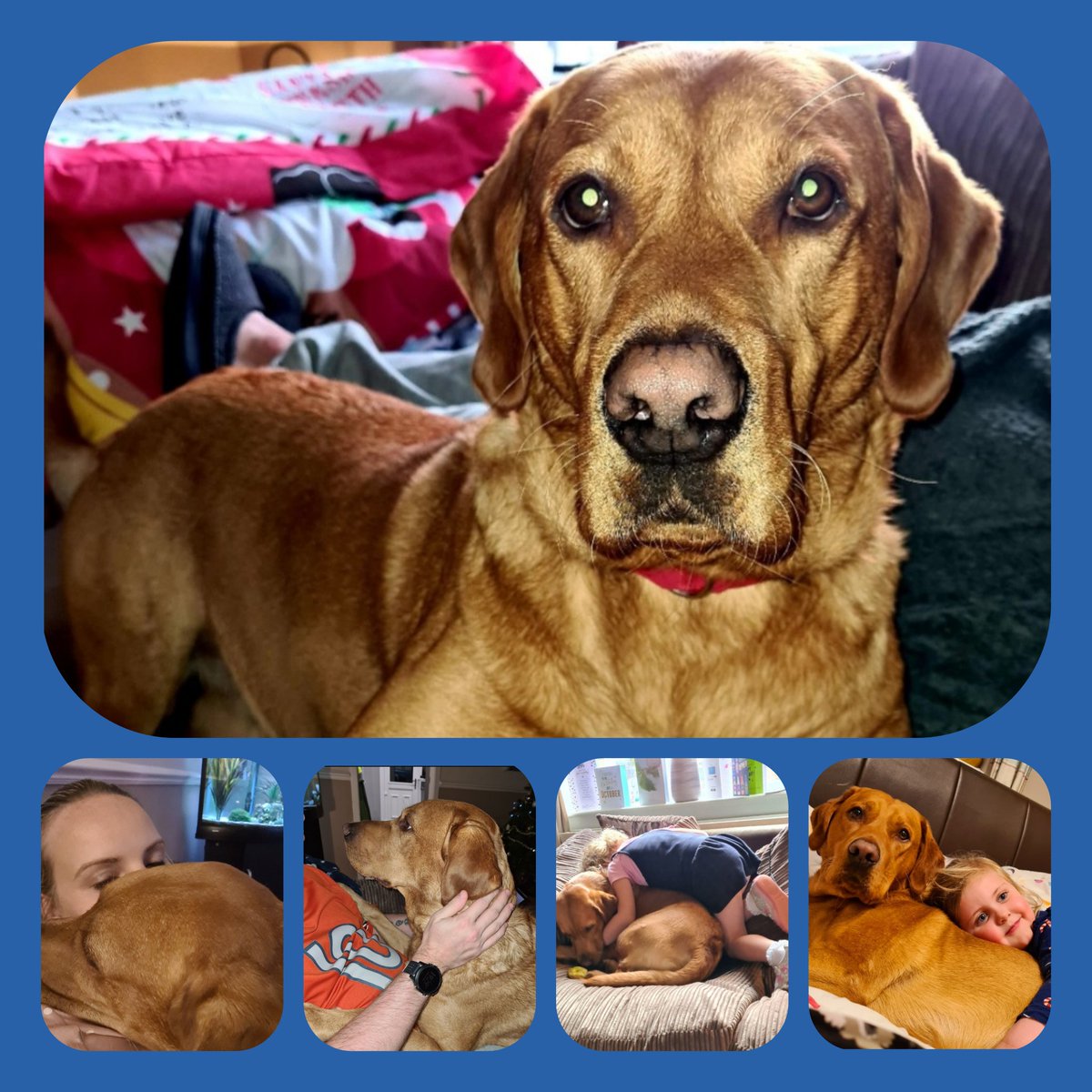 Allison Hopton tweet media