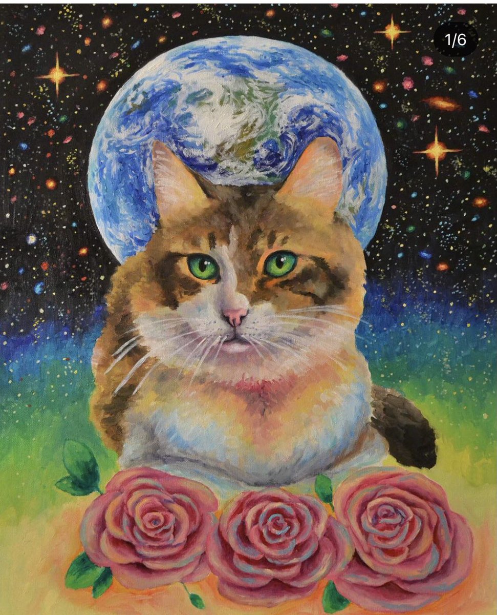 trippycatss1's tweet photo. Drop your NFT and Follow! I will buy 🌝🌚 https://t.co/rEvAvxTR3P