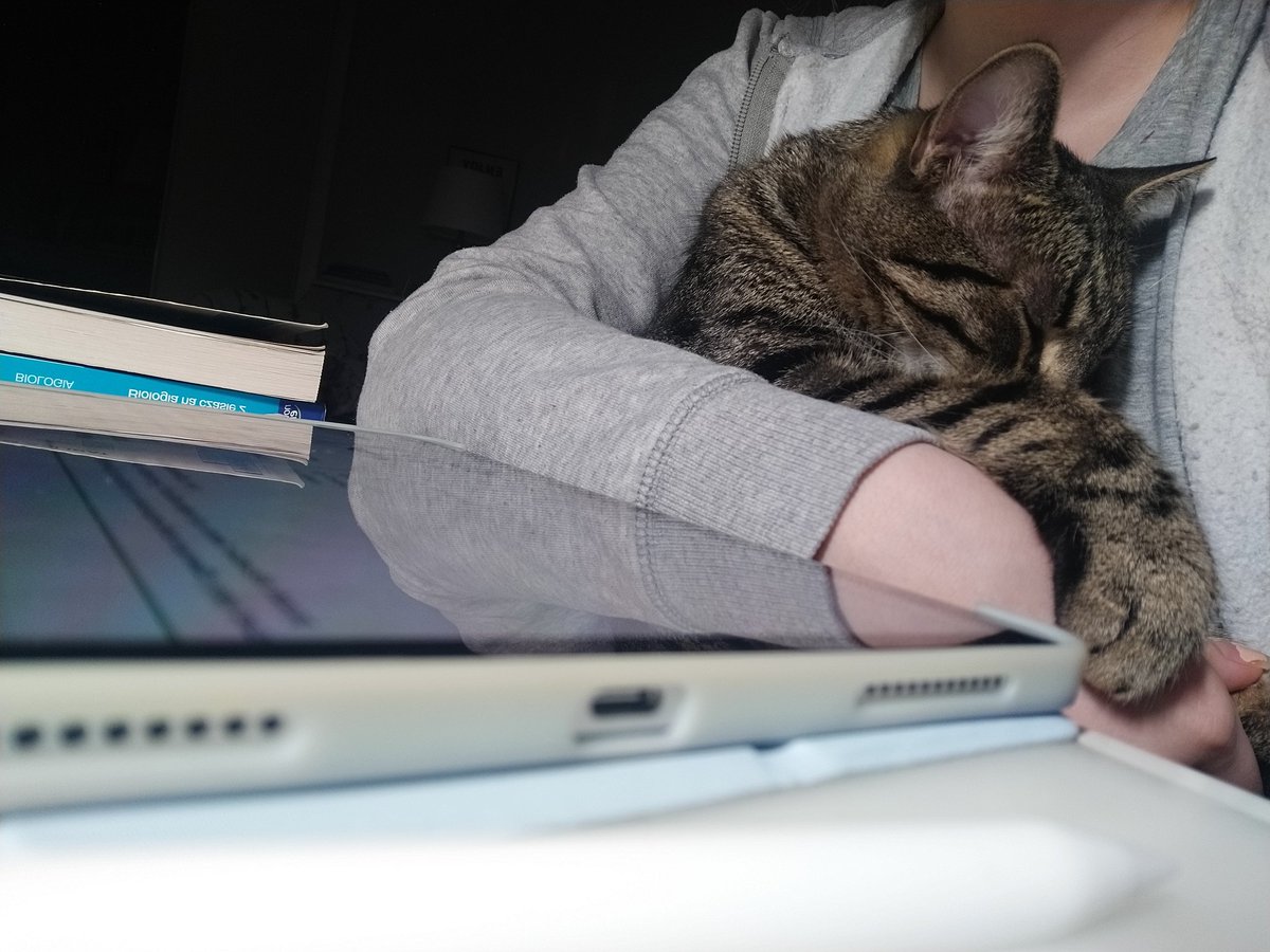 shadowTae02's tweet photo. Najlepsze miejsce do spania, co nie kot? 
A ja mam darmowe ogrzewanie 😂😺 https://t.co/MRvnUs3pxF