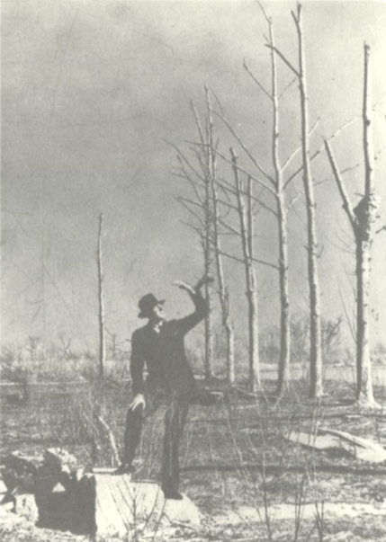 OKTornadoDB's tweet photo. A man surveys the site of the home where 8 members of the Gibson family were killed by the F5 tornado that swept through Antlers on April 12, 1945. Note the debarked trees and ground scouring in the photo. #okwx #F5Tornado #Antlers #Tornado https://t.co/NF3lqKhY9l