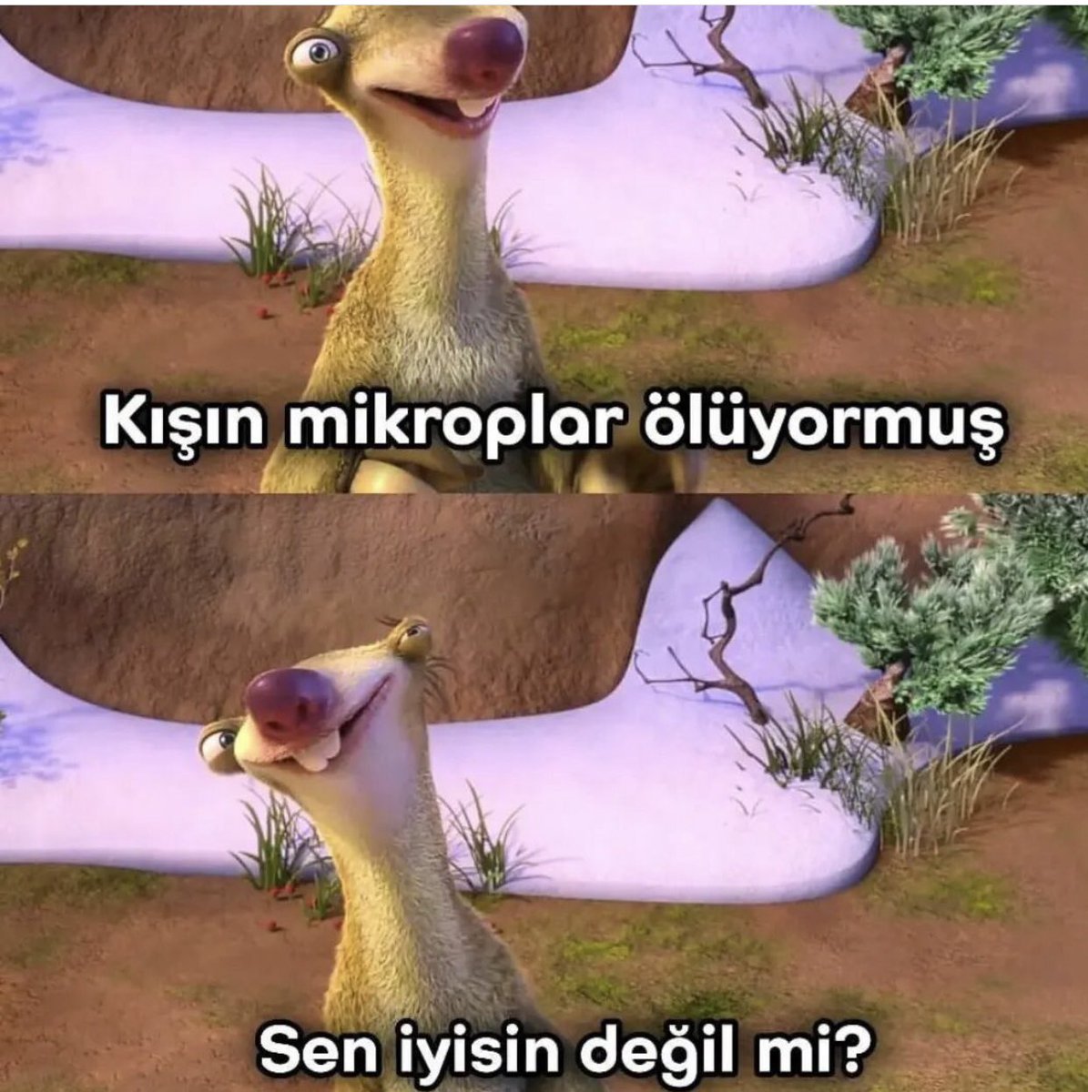 mantis_salih's tweet photo. İstisnalar kaideyi bozmaz https://t.co/wcwa2Ay5R8