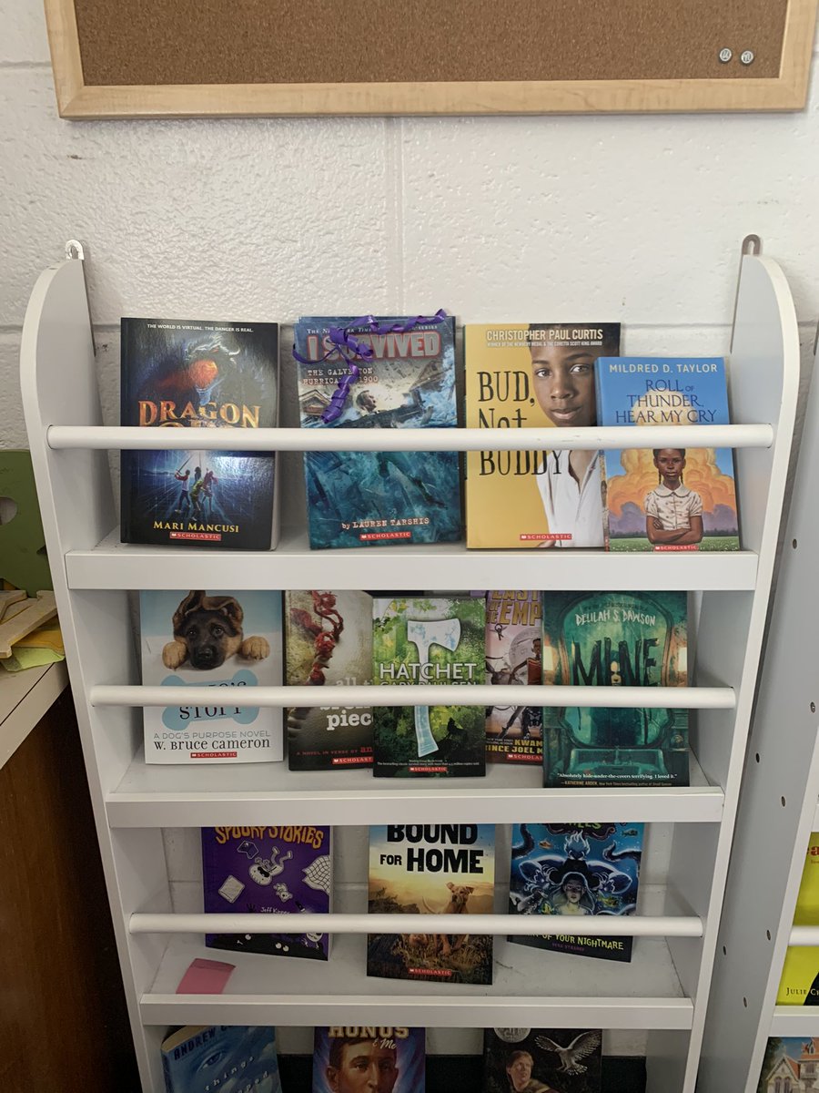 Thank you to the <a href="/PtoTinc/">Tinc Road PTO</a> for your donation of books to our classroom!