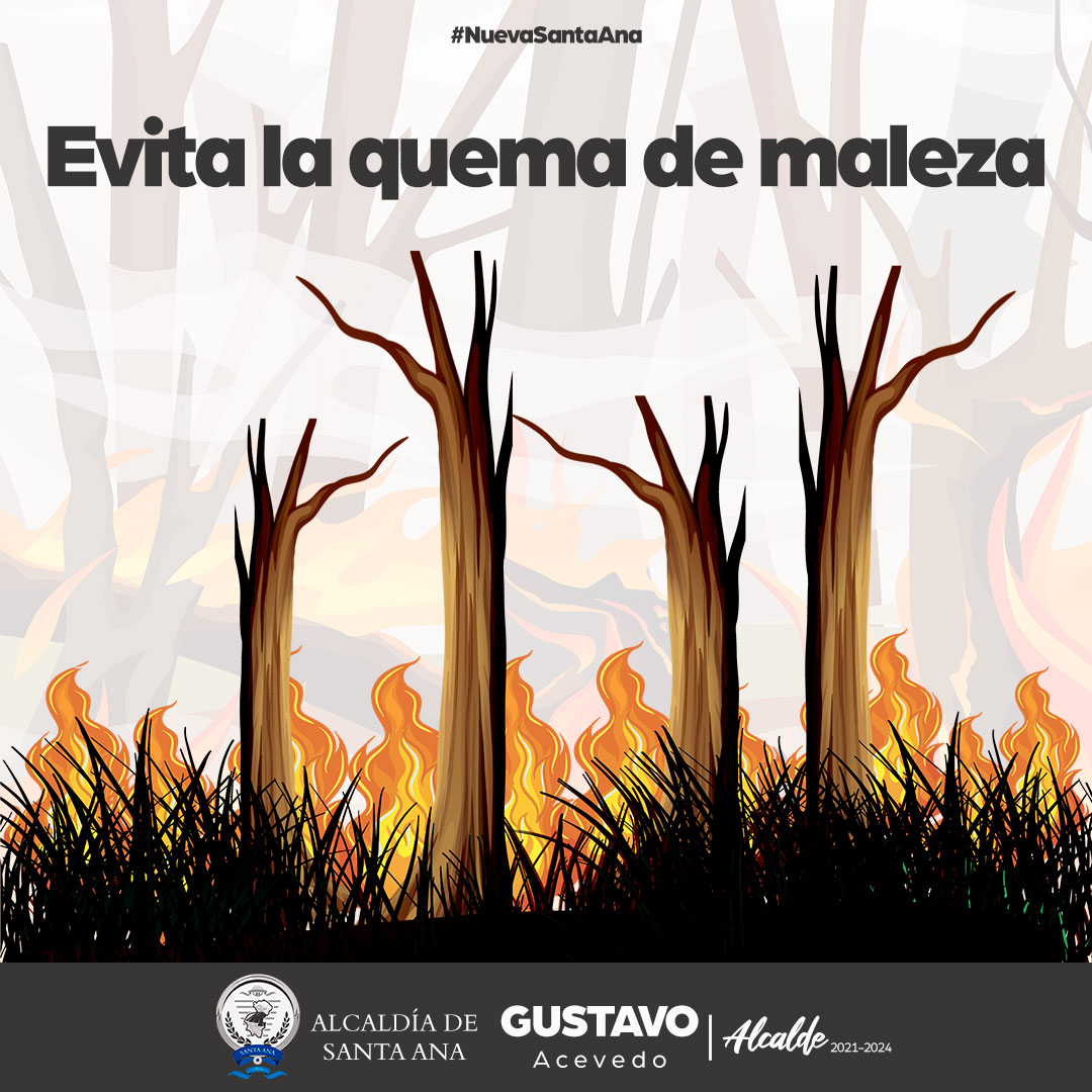 ¡Cuidemos bosques y zonas verdes! Evitemos realizar quema de maleza que ponga el riesgo nuestro medio ambiente. 🍃✅