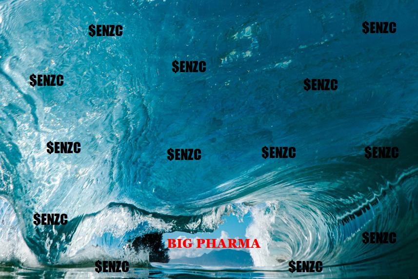 A10_Vet's tweet photo. $ENZC 
Looks like little breathing room left for Big Pharma. 
@enzolytics and @drgauravchandra about to come crashing down on them!

Again, great pics, Jacob VanderVelde @JACOBJMV https://t.co/tAfzbSFsKn