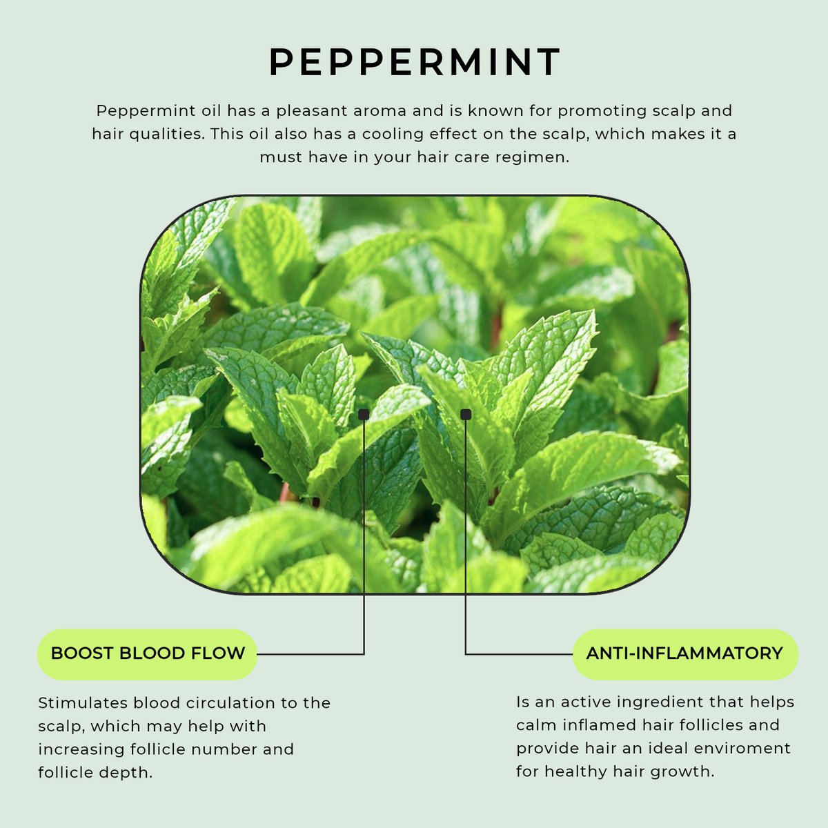 LADUORA® tweet media