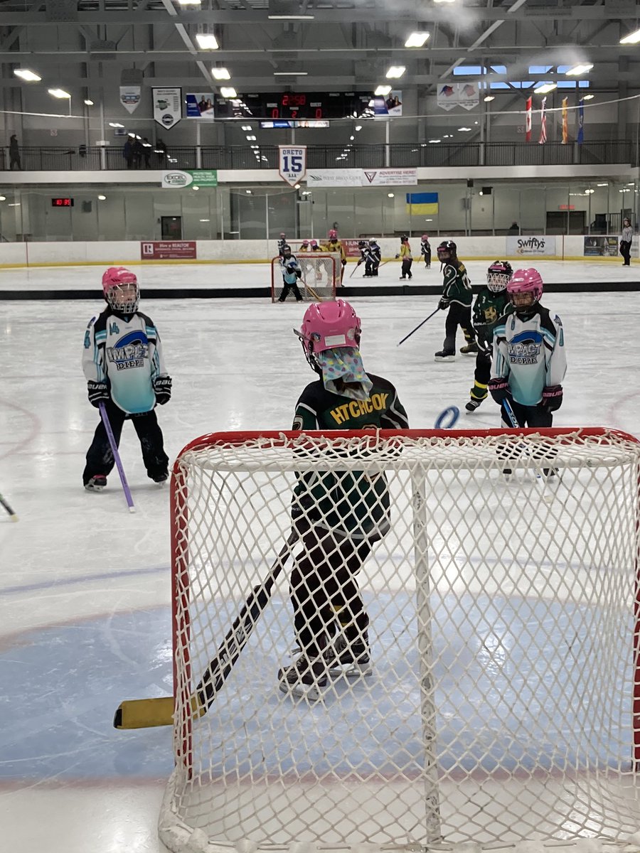 FYRAStars tweet media