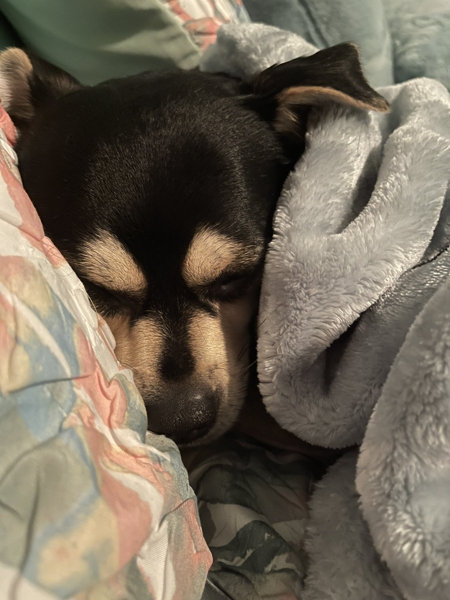 😴