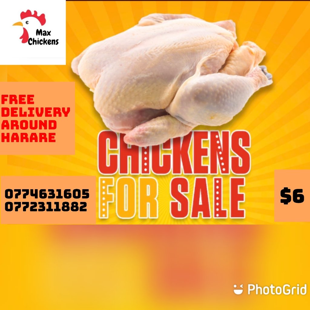 maxhobber's tweet photo. @daddyhope For your weekend braaai and all functions we got you covered at Maxchickens https://t.co/ylzm3L396l
