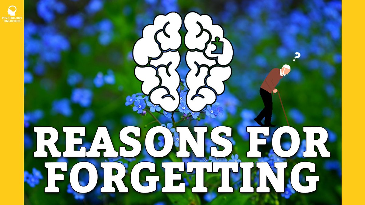 PsyUnlocked's tweet photo. Remember, Remember... Or not. Why not? Can you name three reasons for forgetting?

📼 https://t.co/I6fhSd5z5y

#psychology #memory #university #study #edutwitter #learn #psych #video #science https://t.co/hBK3WjE9nw