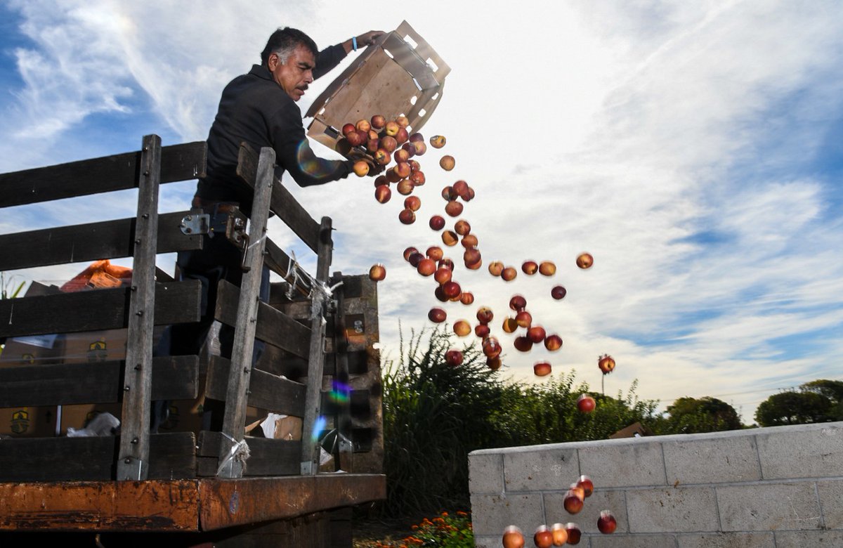 USDA Food and Nutrition Service tweet media
