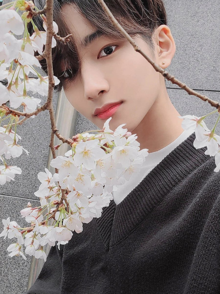 EPEXClX's tweet image. 🌸

#EPEX #이펙스
#JEFF #제프

#CIX #씨아이엑스 
#BX #병곤