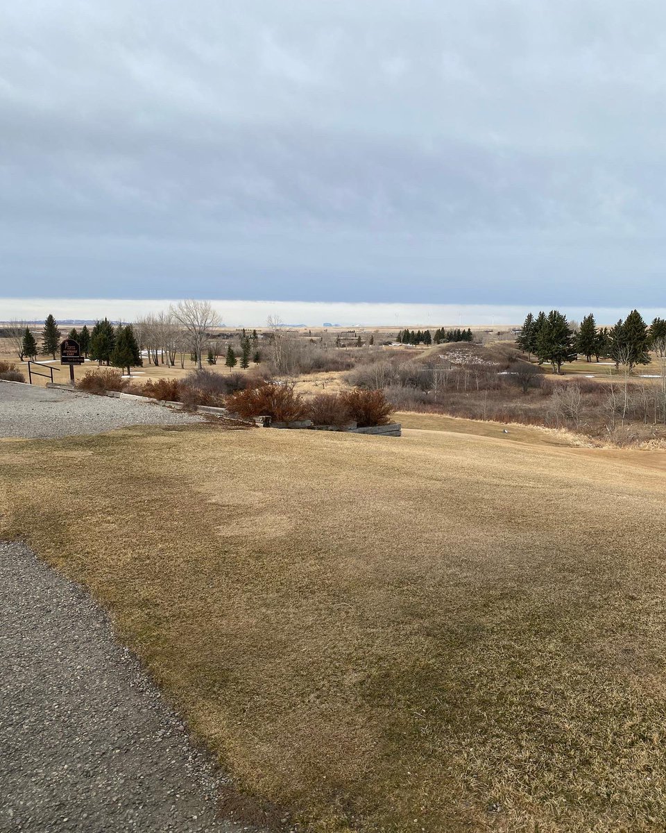 Magrath Golf Club tweet media