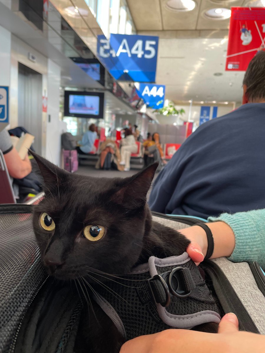 Aujourd’hui est un grand jour... Helyx s’expatrie !

Notre CEO @Kun_______ s’est envolé vers de nouveaux horizons 🇨🇦

On lui souhaite de vivre une belle expérience à Montréal ! 🥳

(tandis que toute l'équipe se prépare à la gestion sur deux fuseaux horaires 😅)