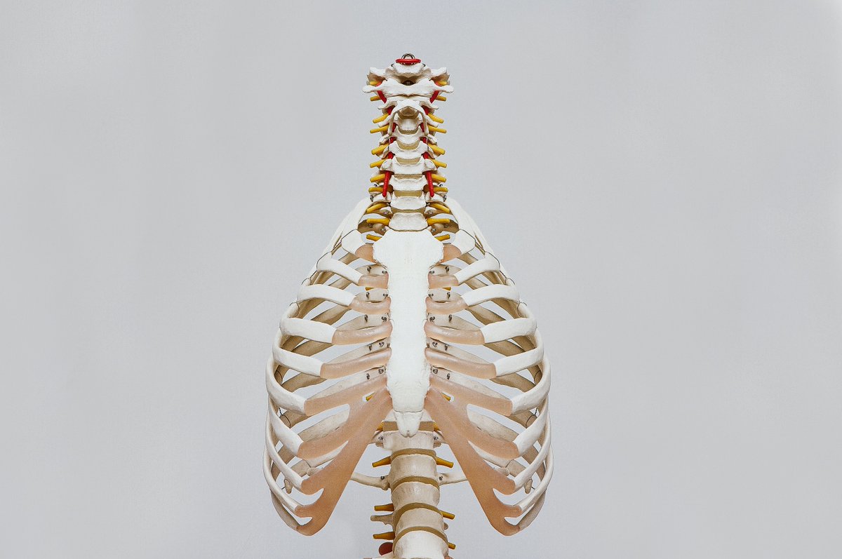 NowAwareDx's tweet photo. Chronic lung inflammation plays a critical role in Chronic Obstructive Pulmonary Disease, or #COPD, leading to extensive lung damage and impaired immunity to respiratory infections. Please spread the word on the third-most deadly disease. 
#POC #PulmonaryDisease #COPDAdvocacy https://t.co/bUDz7yq9Hw