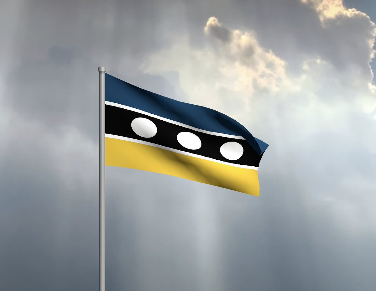 SF Fog & Gold Flag tweet media