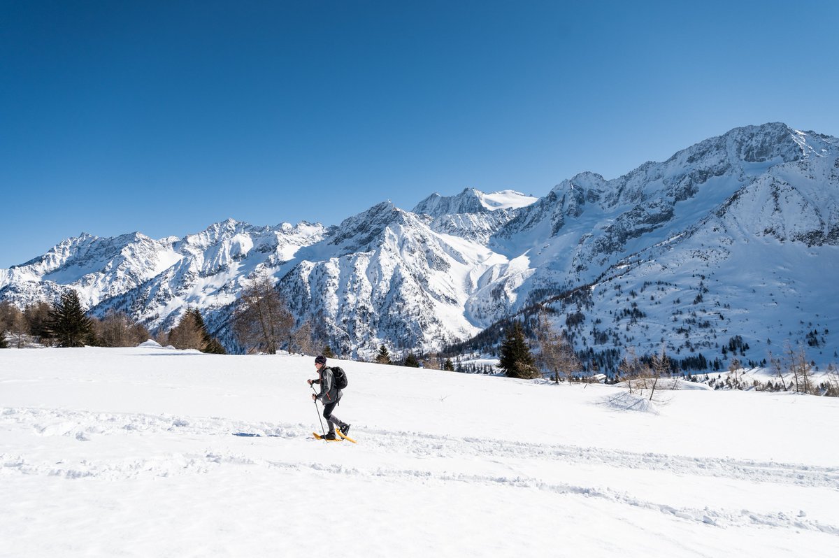 Val di Sole Trentino tweet media