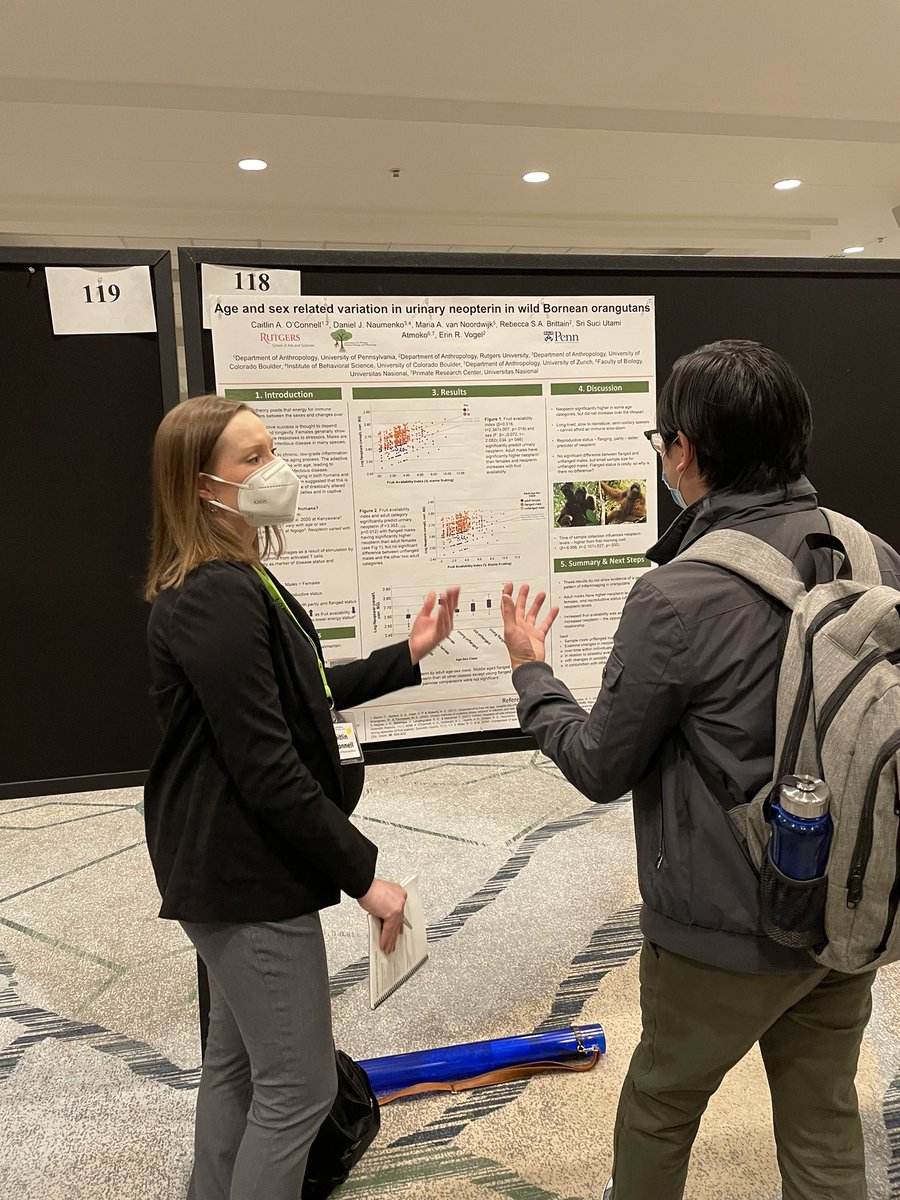 DrEBallare's tweet photo. @caitaoconnell at #AABA2022 discussing her work on urinary neopterin and aging in wild Bornean orangutans 🦧 during Thursday night’s poster session. Great job Dr. O’Connell  @UPennAnth @CHES_Rutgers https://t.co/s2JVgnwF4P