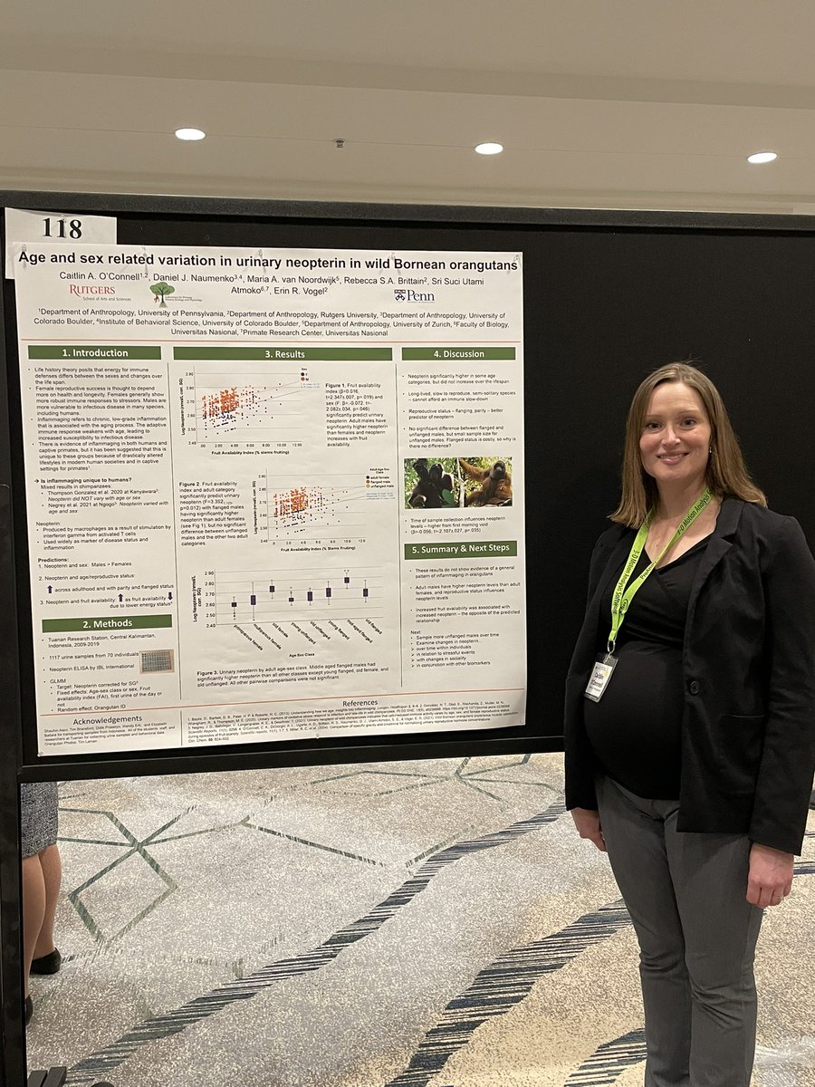 DrEBallare's tweet photo. @caitaoconnell at #AABA2022 discussing her work on urinary neopterin and aging in wild Bornean orangutans 🦧 during Thursday night’s poster session. Great job Dr. O’Connell  @UPennAnth @CHES_Rutgers https://t.co/s2JVgnwF4P