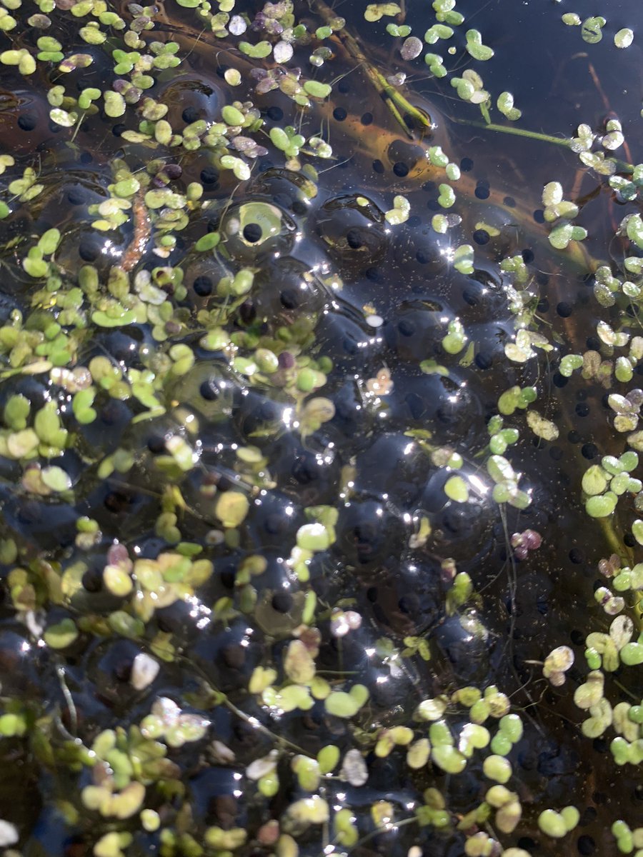 Mrs Sharpe 🌍 🌱 tweet media