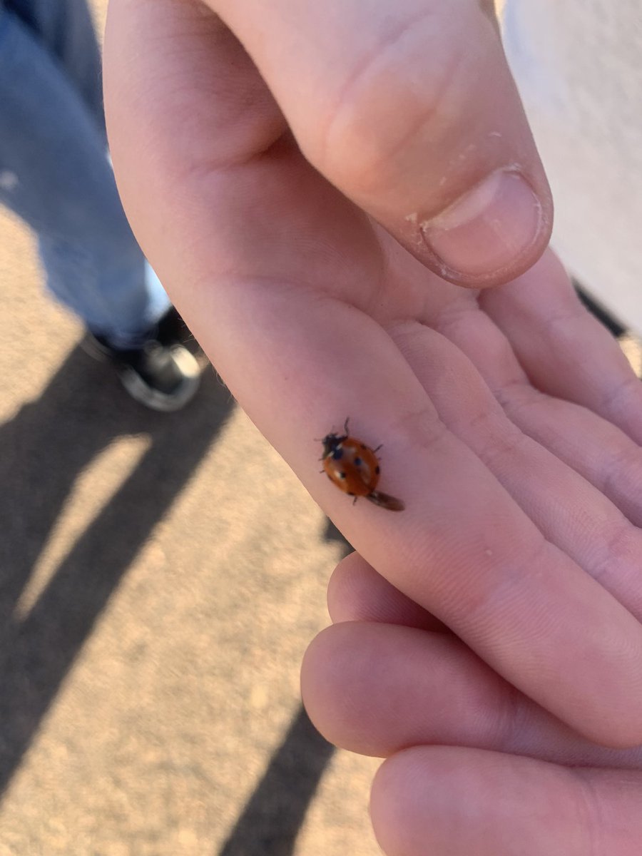 Mrs Sharpe 🌍 🌱 tweet media