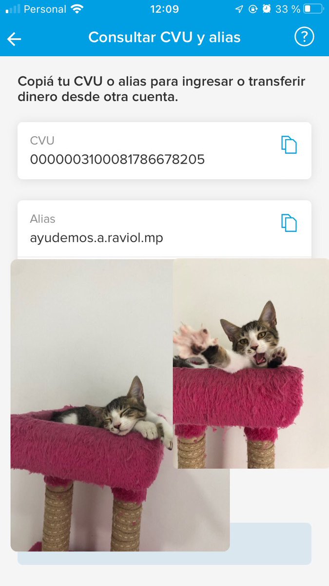 danielavbustos's tweet image. Si me ayudan a compartir se los voy a agradecer por mil, el cvu es 0000003100081786678205