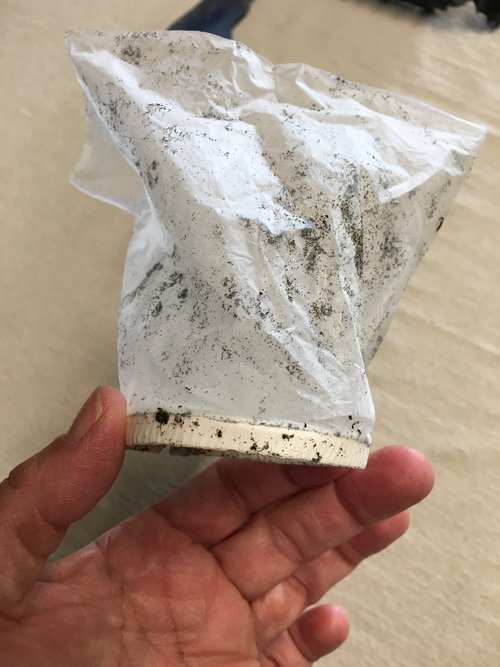 RecycleSDCo's tweet photo. Coffee cups are NOT recyclable. Try to #reuse or bring your own cup or mug. 
Although they're made from paper, there's a plastic liner on the inside of the cup making it difficult to recycle or compost. 
Photo credit:https://t.co/mI6mznz3b6
#reuserecycle #reusablecup #reusablemug https://t.co/jPxJOyNpZJ