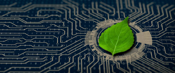evolution_data's tweet photo. En #DataEvolution junto con @PanduitLATAM buscamos establecer relaciones comerciales fundamentadas en la responsabilidad ambiental, esta es nuestra prioridad 🌱🌿
#PanduitGSIC #ReconectaGSIC #technology #datacenter https://t.co/atA4f4Xtig