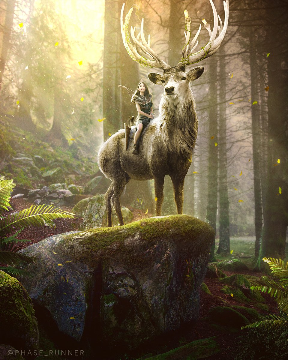 'FOREST QUEEN'

Check out how I made it here: youtu.be/k1VVBl0JG4U

#madewithenvato #photoshop #DigitalArtist