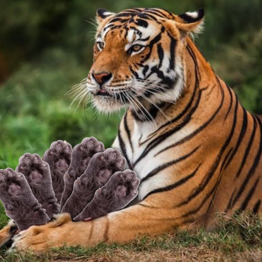 Mehdi 98 tweet media