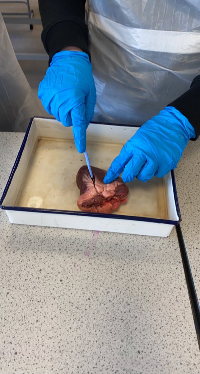 Miss Holliday👩🏻‍🏫 tweet media