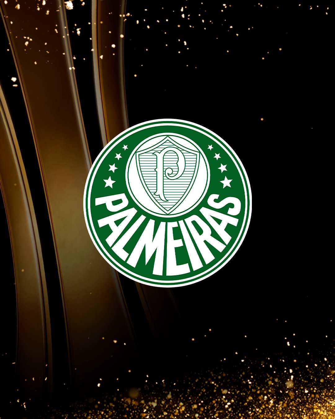 🇧🇷🐷 Pela 2⃣0⃣ª vez, o SE Palmeiras - CONMEBOL Libertadores