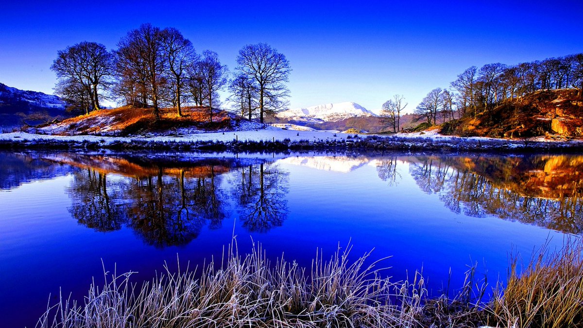 Grass, Lake, Snow, Winter