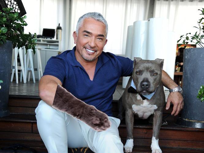 Mehdi 98 tweet media