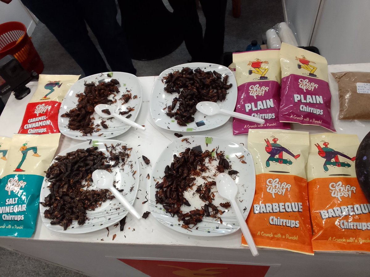 maureenagena's tweet photo. Tasted these crickets in 3 different flavors at a food exhibition somewhere in the region. Crickets are excellent ingredient for easy inclusion into food products for
fortification. #InsectSnack😋 https://t.co/yYmQzI4qZr