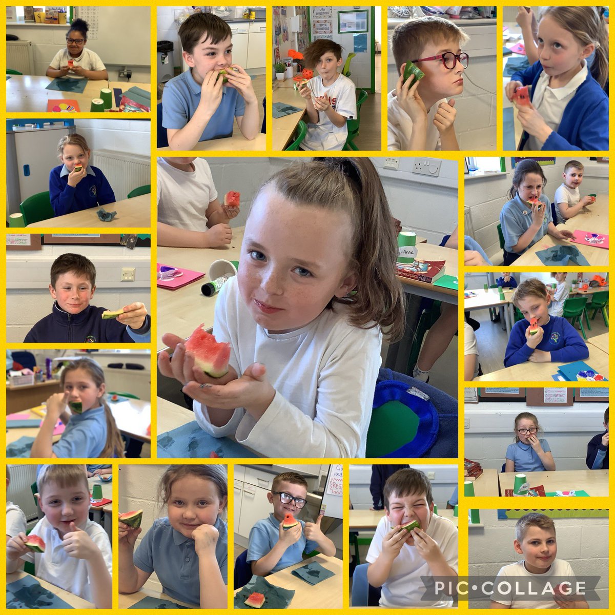 Year 4 Layton Primary School tweet media