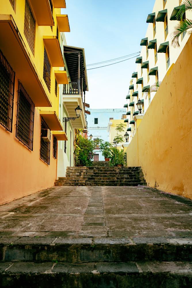 SOSWeb3's tweet image. “Callejón De Los Sueños”
Location: Viejo San Juan, Puerto Rico
GPS: 18.465, -66.118
Date: October 8th, 2021 4:20pm
Camera: Sony A7III
Lens: FE 35mm F1.8
Exposure: 1/1,000
ISO: 800 
fStop: 3.5
Dimensions: 3937 × 5906px

sameolshit.square.site
opensea.io/collection/ple…
#PDSMS
