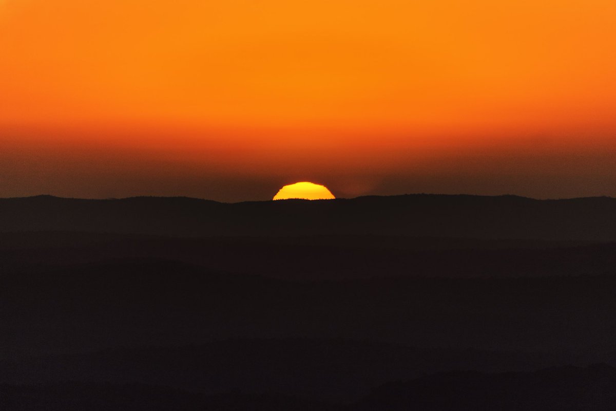 Ana Mengoni tweet media