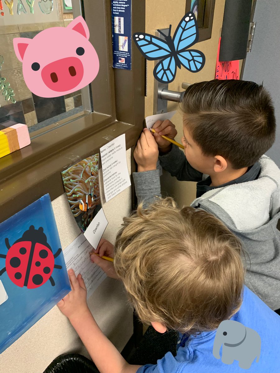MsErikaShelton1's tweet photo. It’s a zoo in here! For morning work today we are taking a zoo tour around  the room and hunting for animals who meet certain descriptions! We are having excellent discussions about animals and their characteristics! #Science #Animals #AnimalCharacteristics #twehowl @TWEHowl https://t.co/j0Jm9cHf76