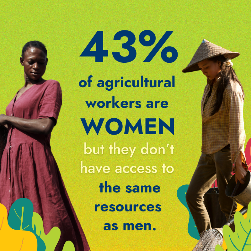 IFAD's tweet photo. Rural women can lead the way to a sustainable future, but inequalities are holding them back.

Here is why we must change course &amp; how to do it 👇