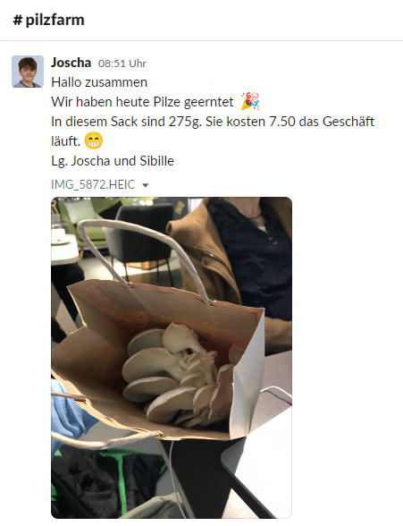 Wie glücklich mich das macht: 10 Neugierige aller Generationen aus dem <a href="/colearningbern/">Colearning Bern</a> gründeten eine #Pilzfarm als #Lernunternehmen. Heute haben Joscha und Sibille Pilze dem ersten Kunden überreicht! Von der Idee bis zu diesem Punkt hat es 6 Monate gedauert - mit viel Lernen!