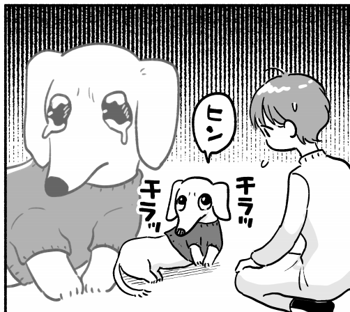 犬猫マンガ更新したよ! 