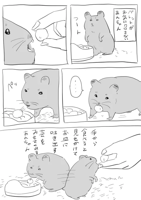#逆襲のハムス 