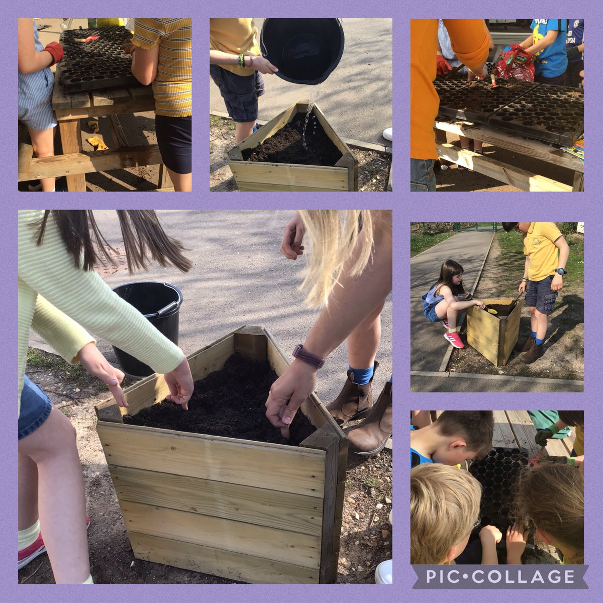 Y4Raglan's tweet photo. A lovely few days in Year 4. The children have enjoyed Cymraeg activities, teambuilding games outside and planting a variety of seeds including sunflower seeds for Ukraine Day, the national flower of the Ukraine. https://t.co/sPNrea5nQI