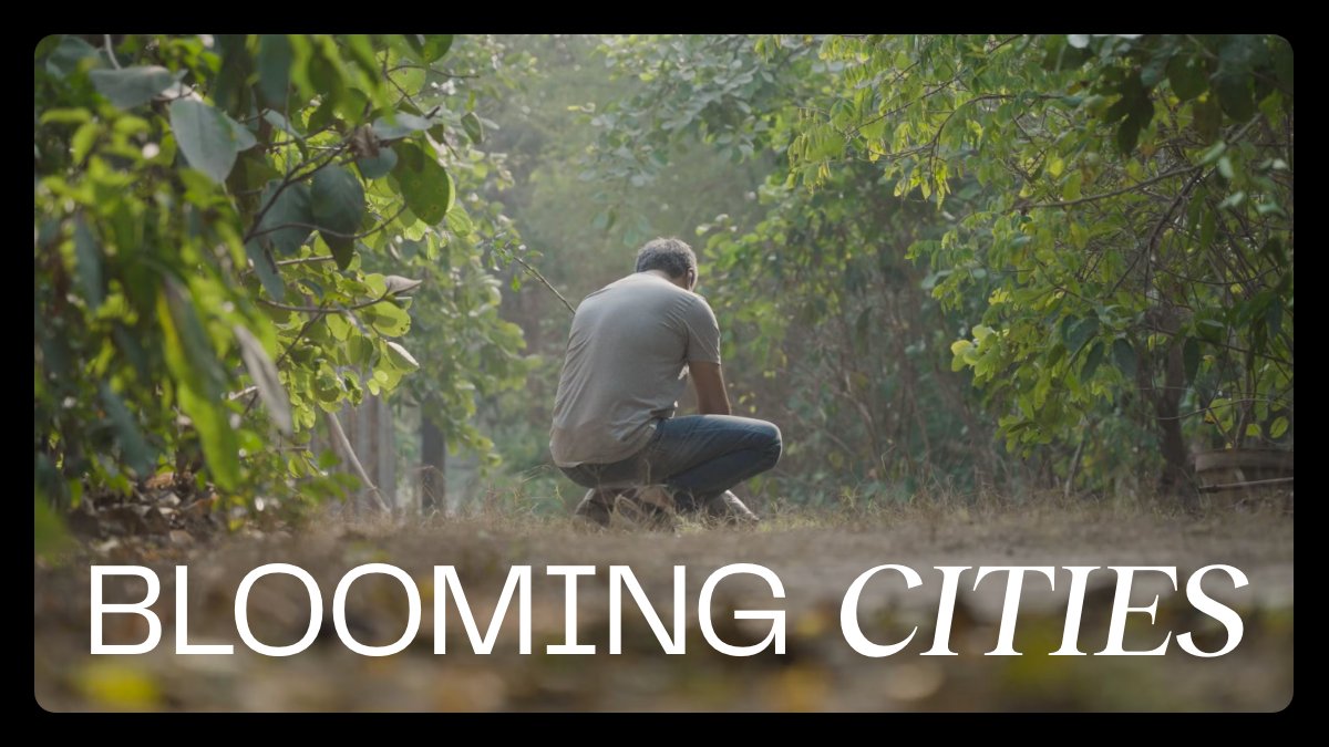 climatexculture's tweet photo. For our first original film production, we worked closely with award-winning filmmaker @jawadsharifilms and urban forestry expert Bilal Chaudri from @Restore_Green with the support of @DeloitteUK

Discover how #urbanforests can transform cities at https://t.co/LK5oNT5j6d https://t.co/7FWBCPIBmp