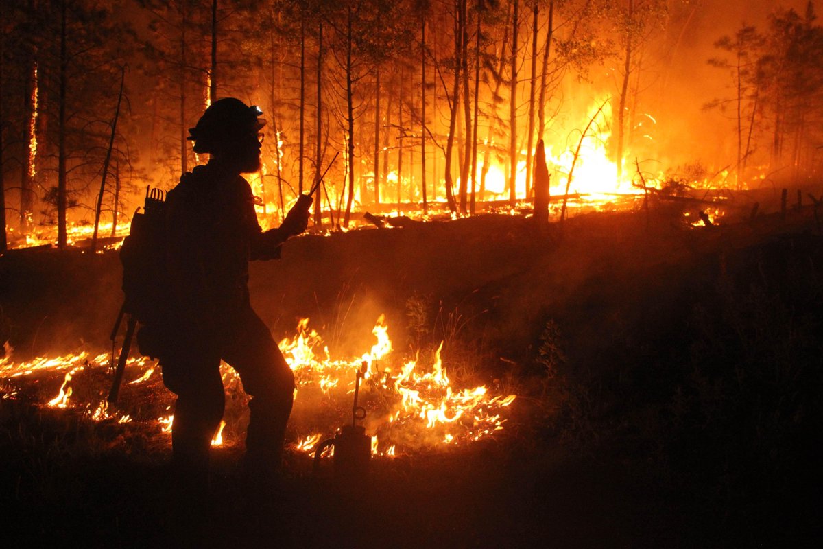 forestguild's tweet photo. "Projected changes in climate, fuel, and ignitions suggest that we'll see more and larger fires in the future. Our analyses show that those changes are already happening."
Read the full report here: https://t.co/c6bBwOrLF2
#GuildScienceCorner https://t.co/lmjcQxxJxa