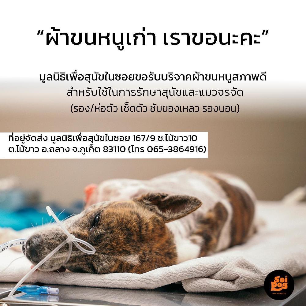 ชวก tweet media