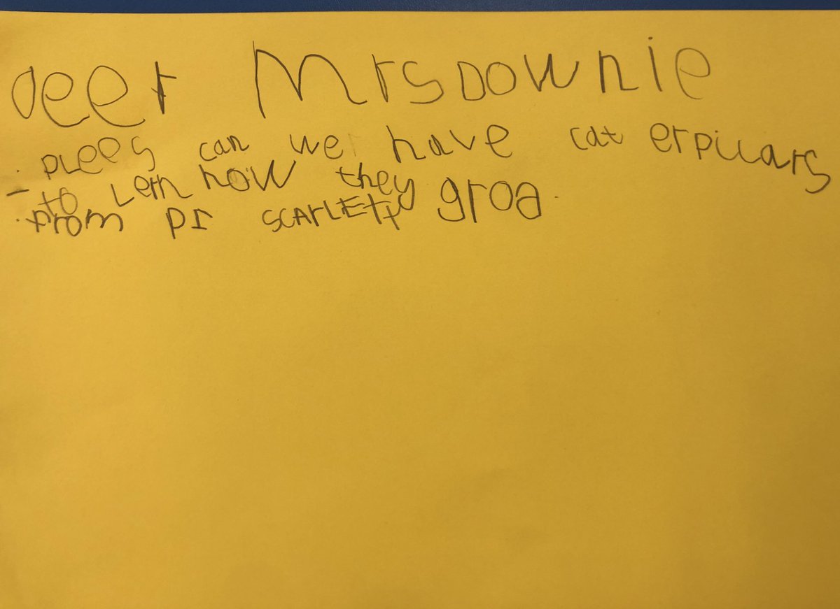 blackridge_ps's tweet photo. Primary 1 are planning their next steps in learning and have written a letter to Mrs Downie. Good news everyone .....she said YES! ๐๐ฆ@wl_literacy @WL_STEM @WL_Equity #confidentindividuals #reasonstowrite #skillsforlife https://t.co/N9ar8qm30a