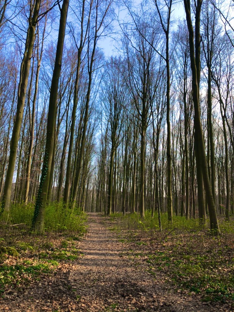 Esther O'Connor tweet media