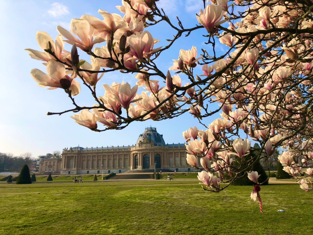 Esther O'Connor tweet media